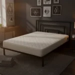 New Project - 2025-10-09T141750.201